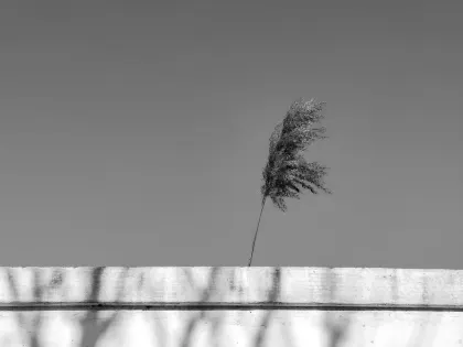 Jazz Kasino Mobiilisovellus